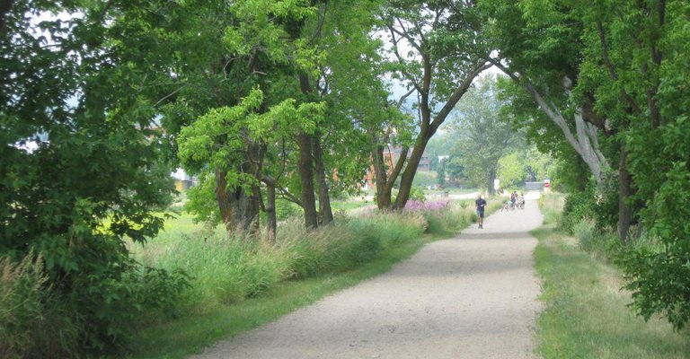 PSP-été-vélo